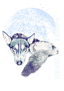 PrincesGalaxyHuskySpirit